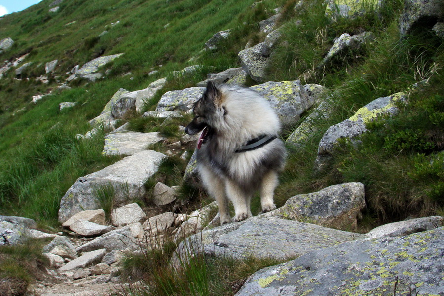 Ďumbier, Chopok (Nízke Tatry)