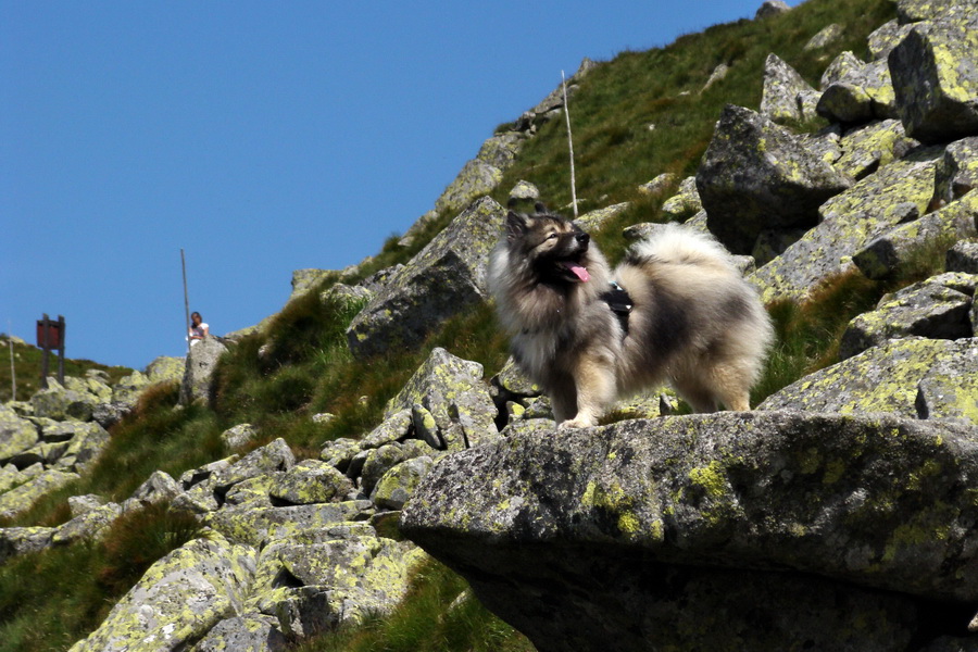 Ďumbier, Chopok (Nízke Tatry)