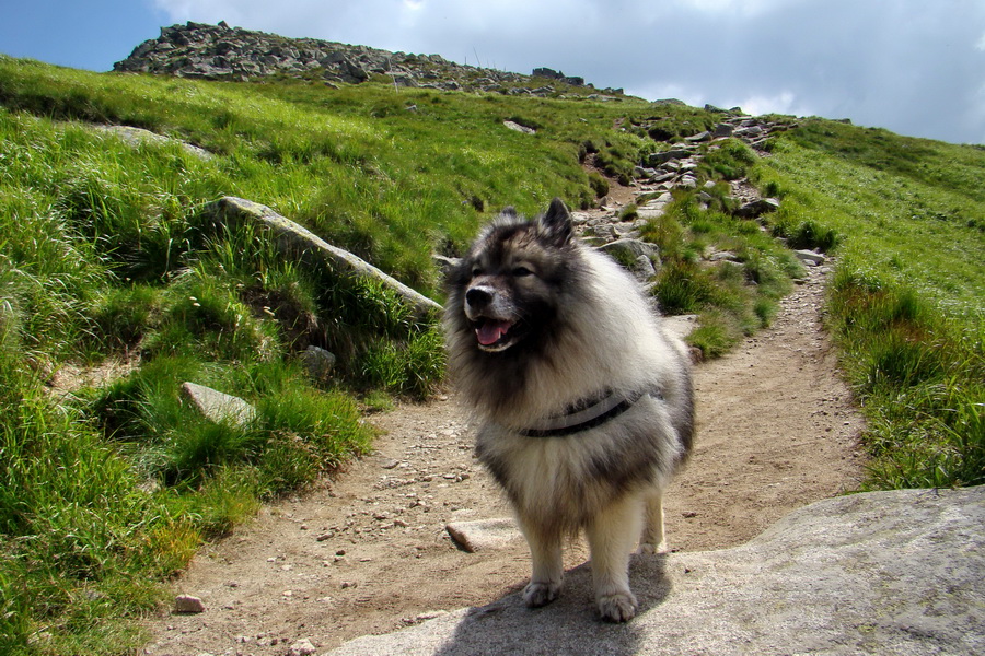 Ďumbier, Chopok (Nízke Tatry)