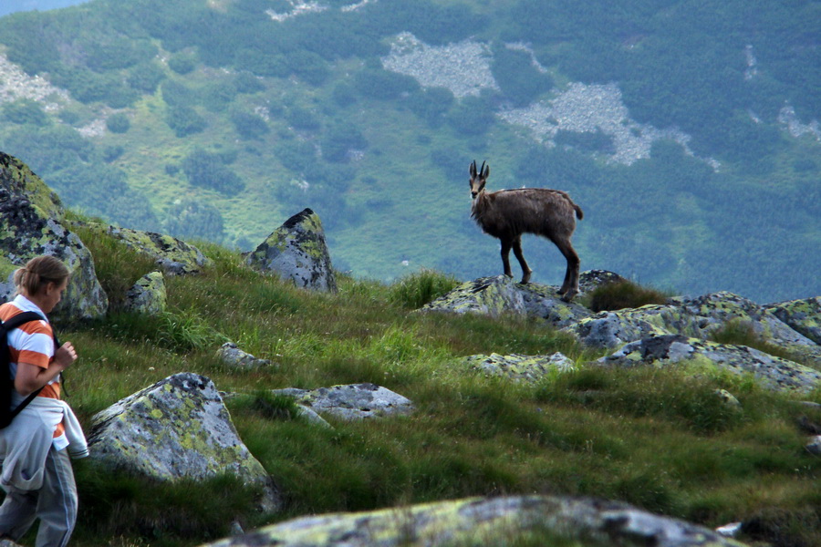 Ďumbier, Chopok (Nízke Tatry)