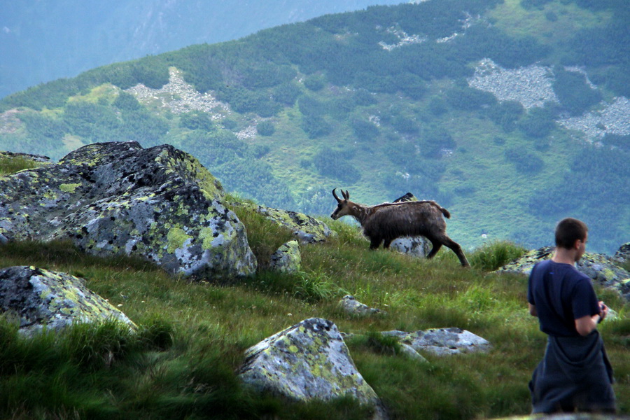 Ďumbier, Chopok (Nízke Tatry)