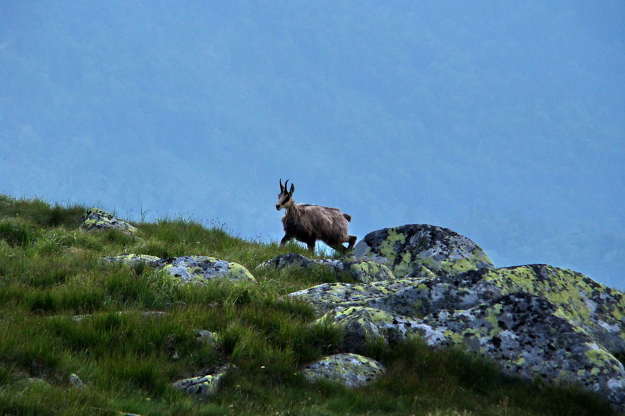 Ďumbier, Chopok (Nízke Tatry)