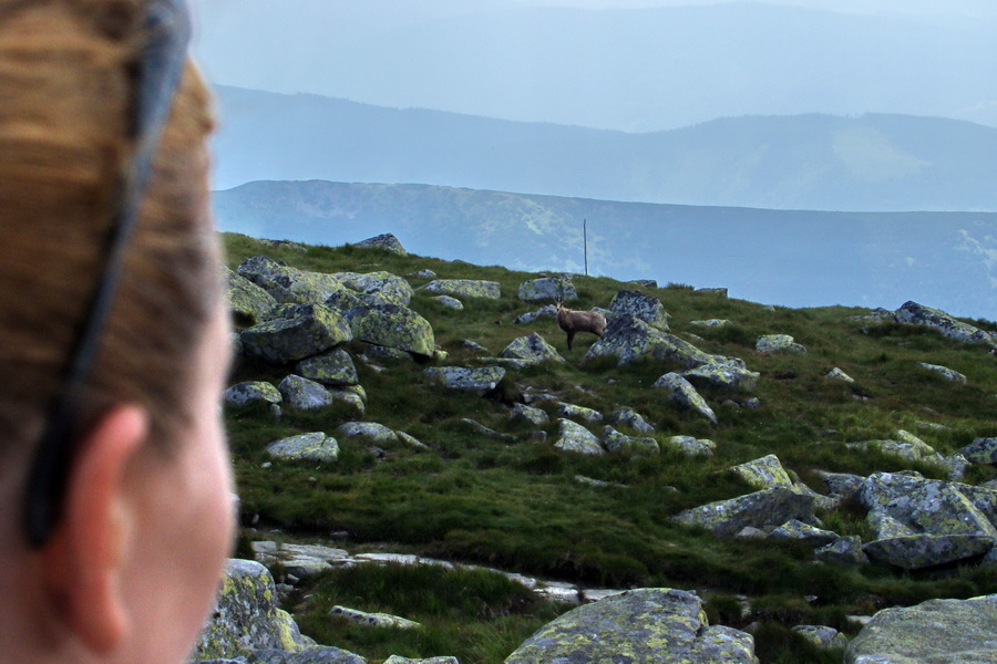 Ďumbier, Chopok (Nízke Tatry)