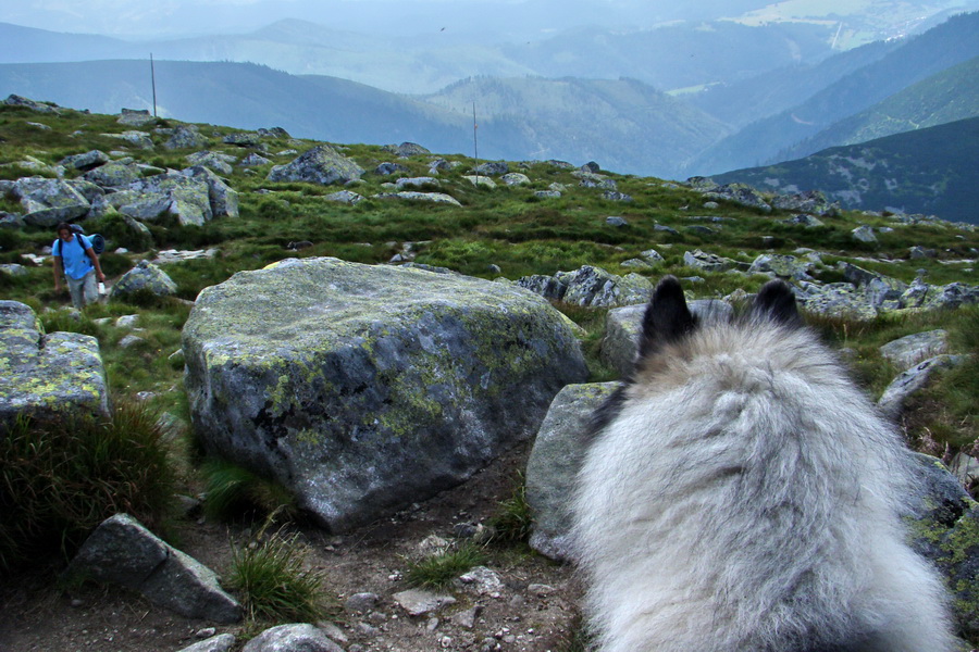 Ďumbier, Chopok (Nízke Tatry)