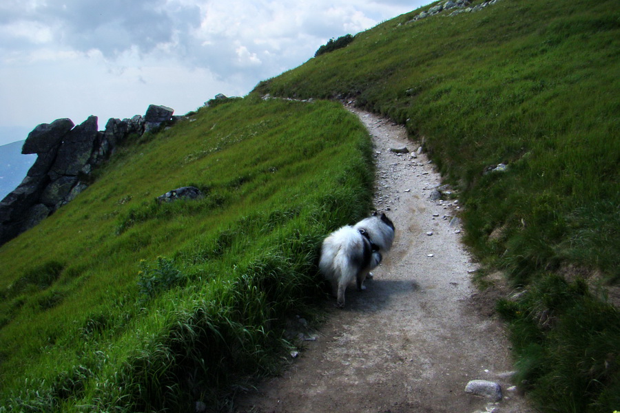 Ďumbier, Chopok (Nízke Tatry)