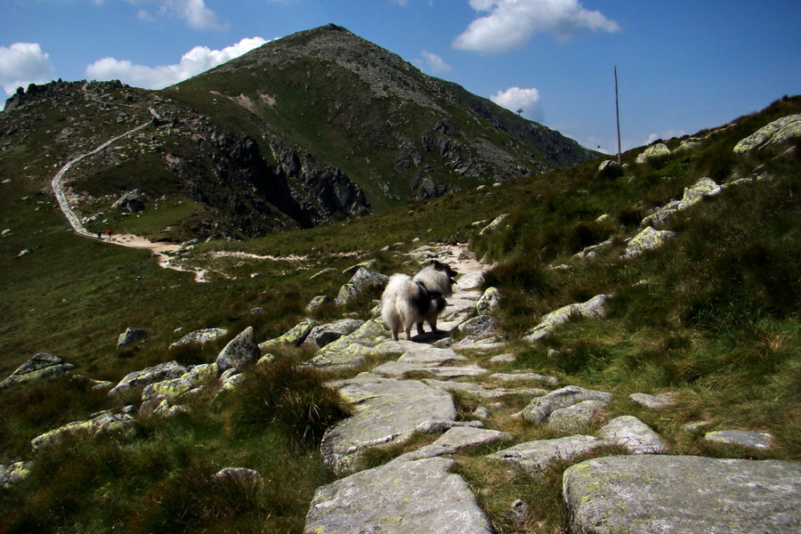 Ďumbier, Chopok (Nízke Tatry)