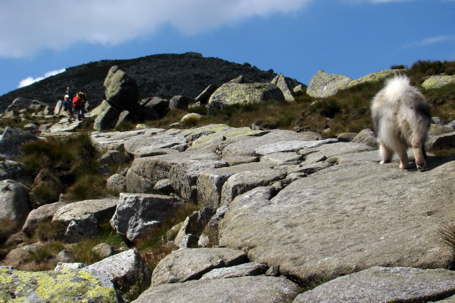 Ďumbier, Chopok (Nízke Tatry)