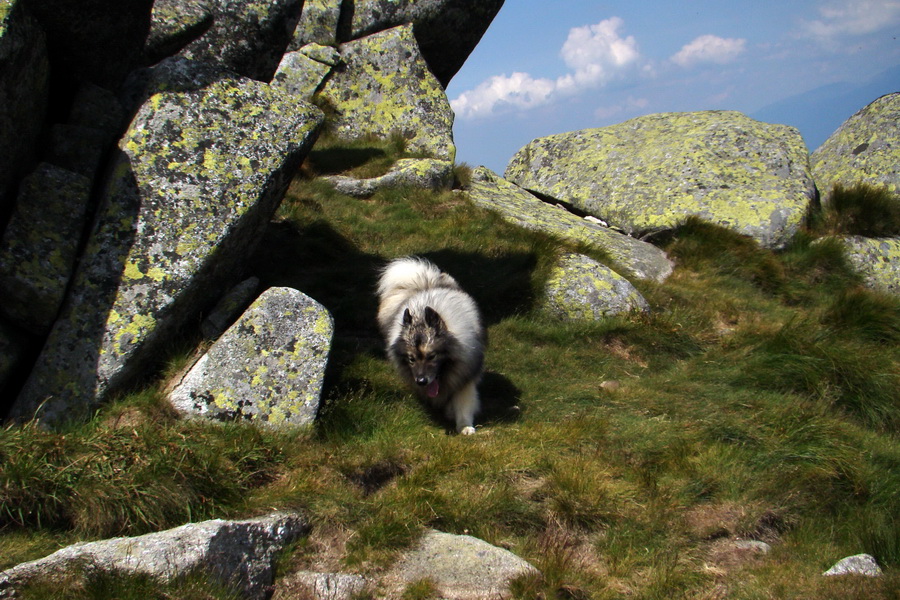 Ďumbier, Chopok (Nízke Tatry)