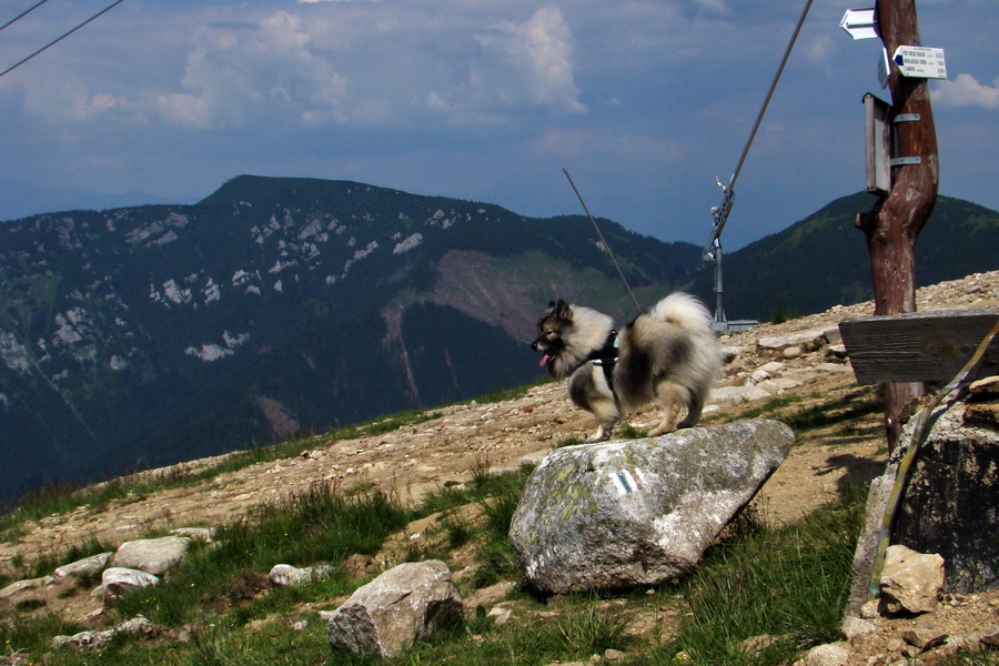 Ďumbier, Chopok (Nízke Tatry)