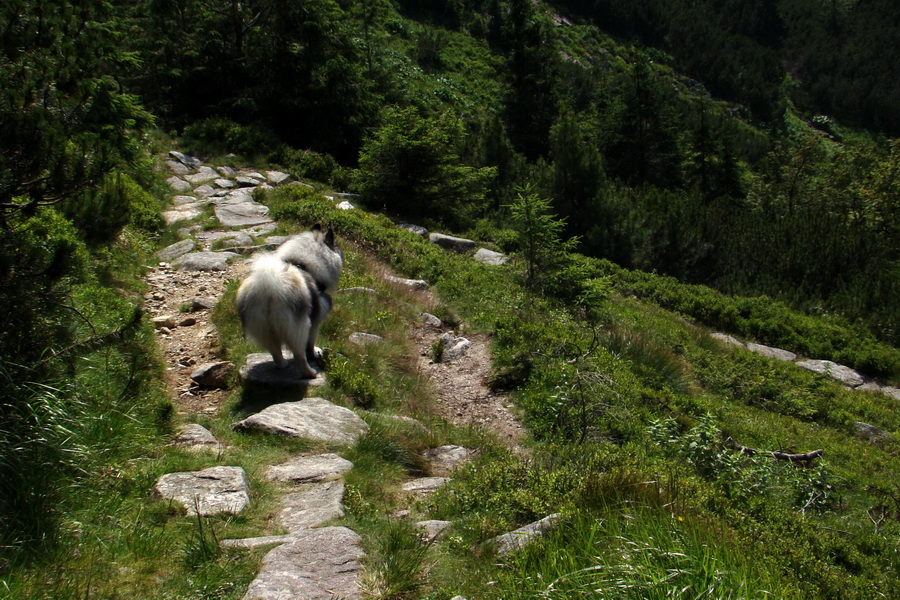 Ďumbier, Chopok (Nízke Tatry)