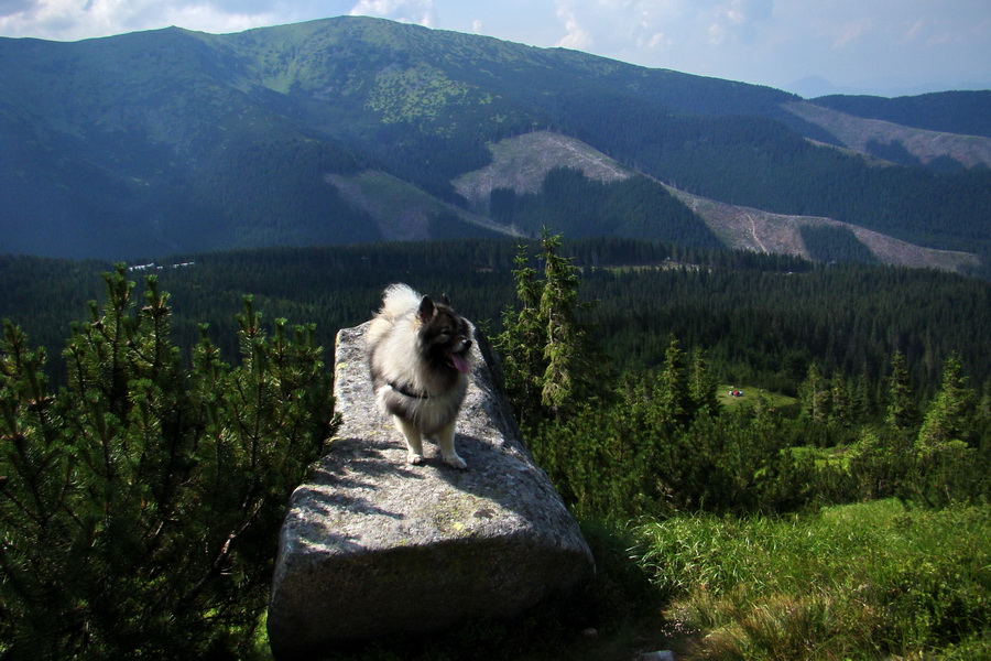 Ďumbier, Chopok (Nízke Tatry)