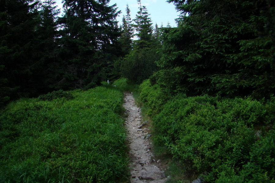 Ďumbier, Chopok (Nízke Tatry)