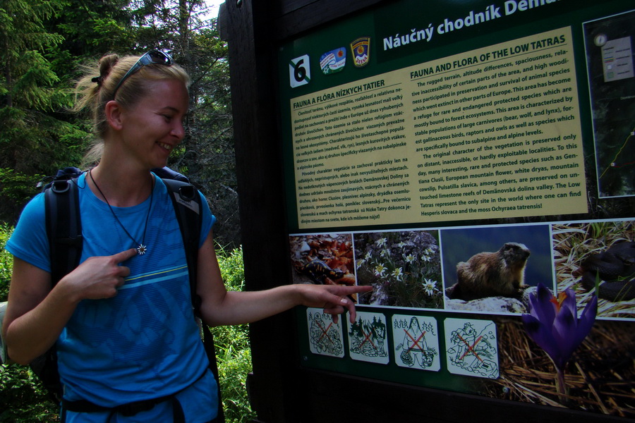 Ďumbier, Chopok (Nízke Tatry)