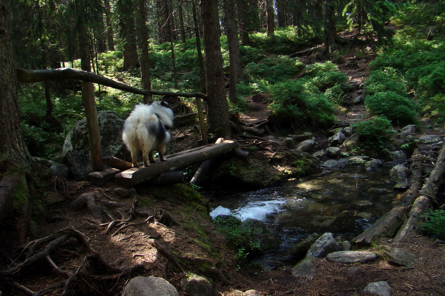 Ďumbier, Chopok (Nízke Tatry)