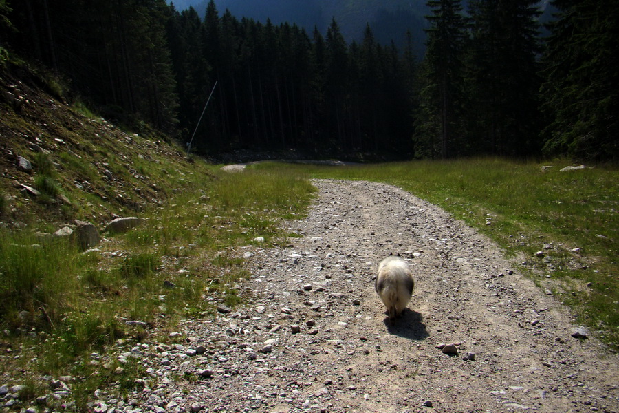 Ďumbier, Chopok (Nízke Tatry)