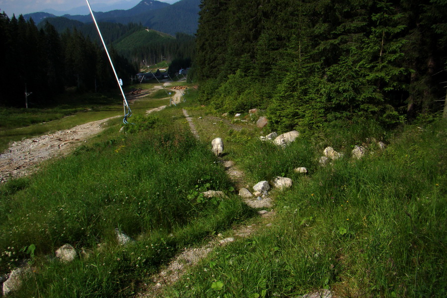 Ďumbier, Chopok (Nízke Tatry)