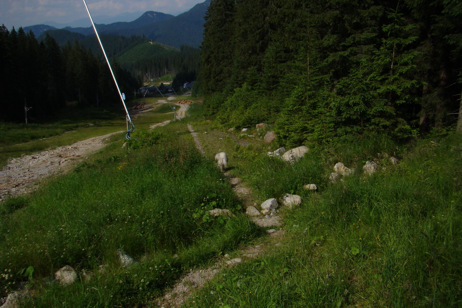 Ďumbier, Chopok (Nízke Tatry)