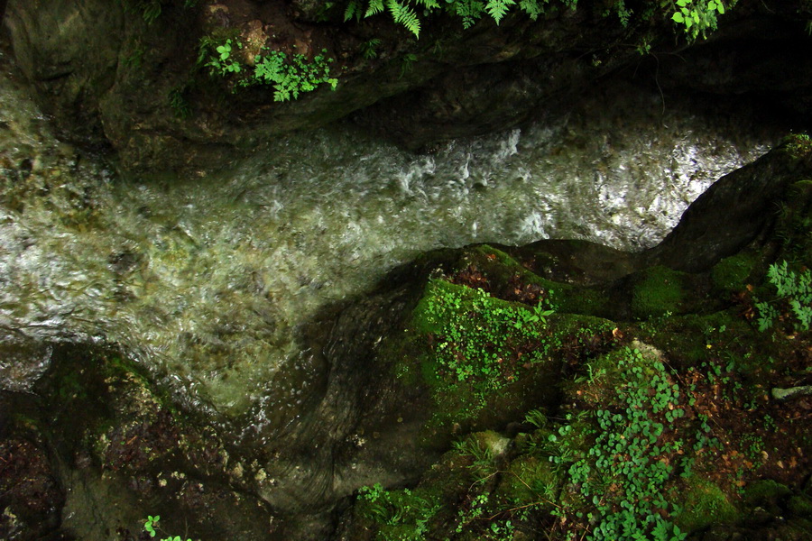 Geravy cez Tomášovskú Belú (Slovenský raj)