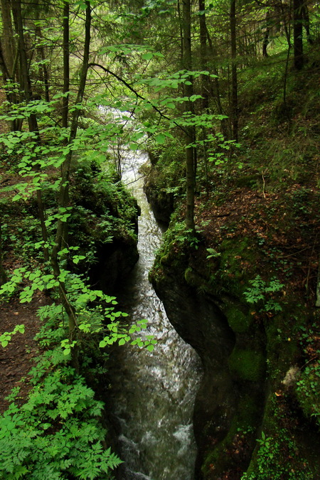 Geravy cez Tomášovskú Belú (Slovenský raj)