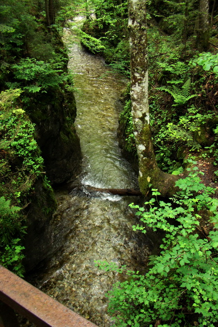 Geravy cez Tomášovskú Belú (Slovenský raj)