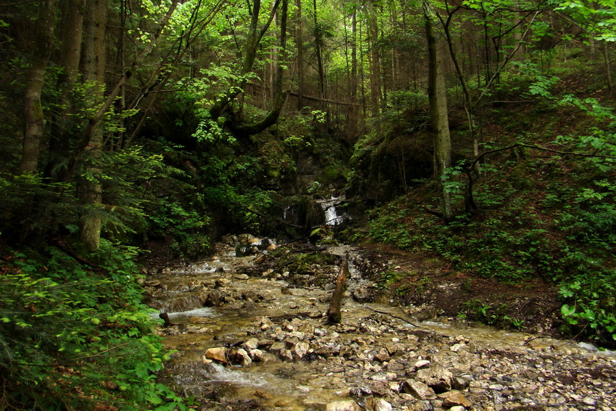 Geravy cez Tomášovskú Belú (Slovenský raj)