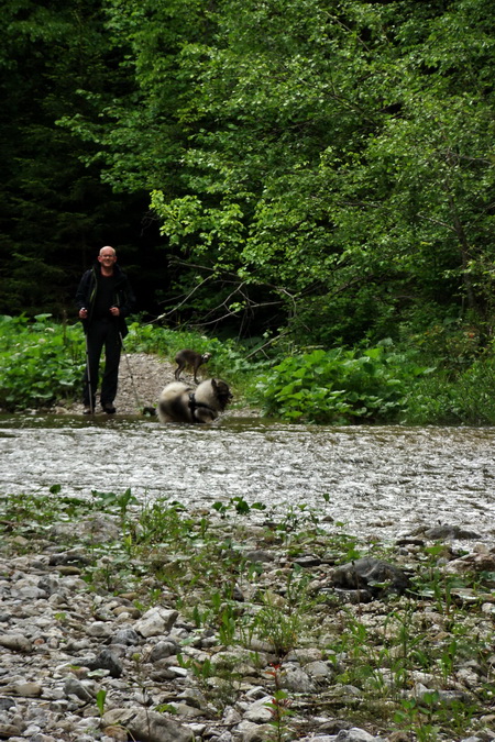 Geravy cez Tomášovskú Belú (Slovenský raj)