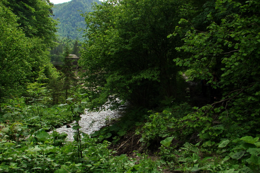 Geravy cez Tomášovskú Belú (Slovenský raj)