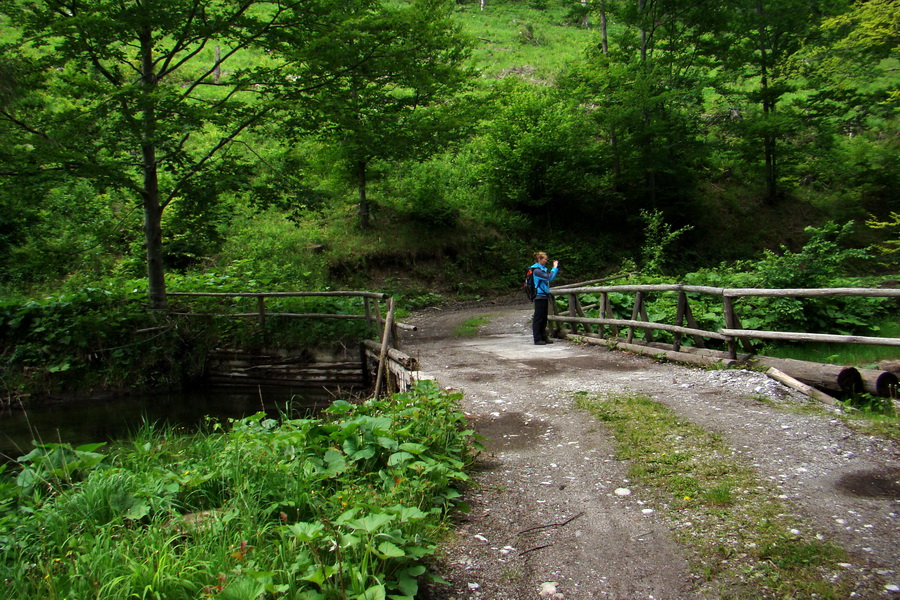 Geravy cez Tomášovskú Belú (Slovenský raj)