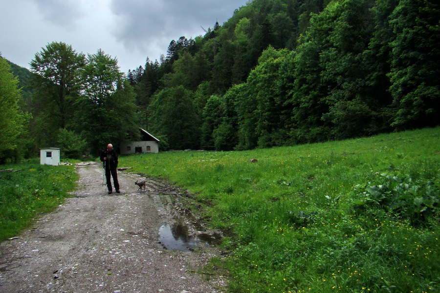 Geravy cez Tomášovskú Belú (Slovenský raj)