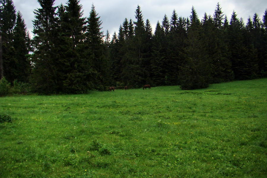 Geravy cez Tomášovskú Belú (Slovenský raj)