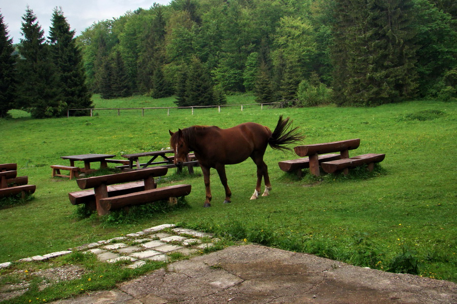 Geravy cez Tomášovskú Belú (Slovenský raj)