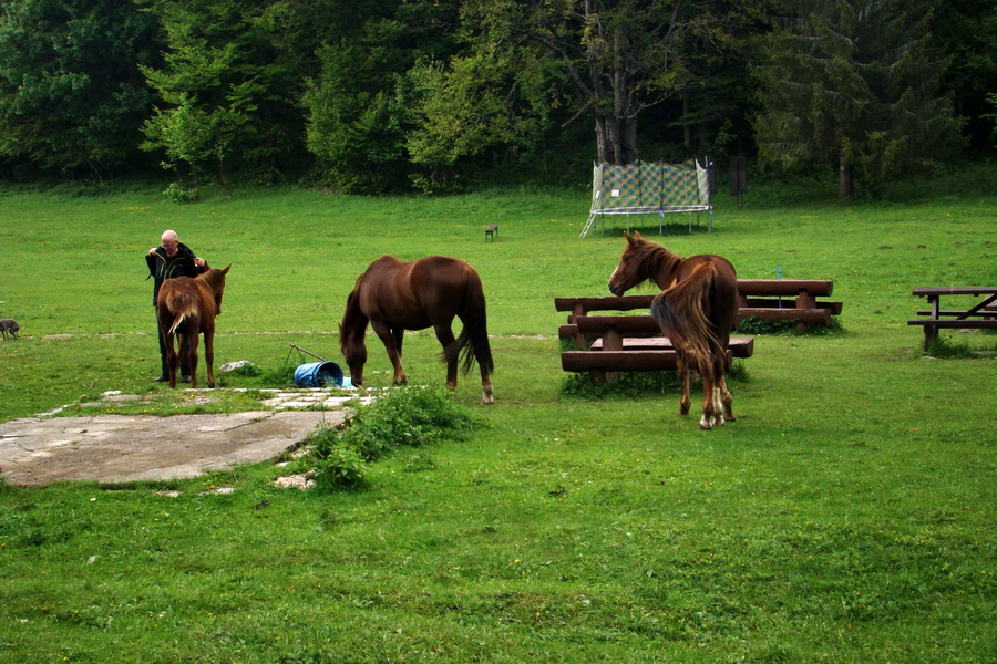 Geravy cez Tomášovskú Belú (Slovenský raj)