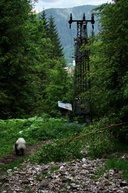 Geravy cez Tomášovskú Belú (Slovenský raj)