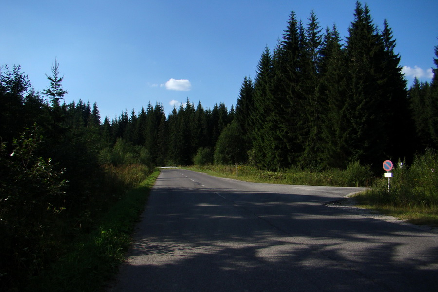 cestou na hraničný priechod Przelecz Glinka (Ujsolska)