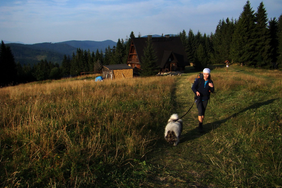 návrat na modrú značku, v pozadí Bacówka PTTK na Krawcowym Wierchu