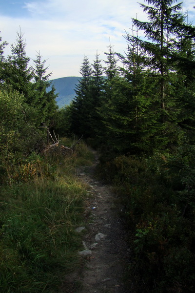 zostup do Mútňanského sedla