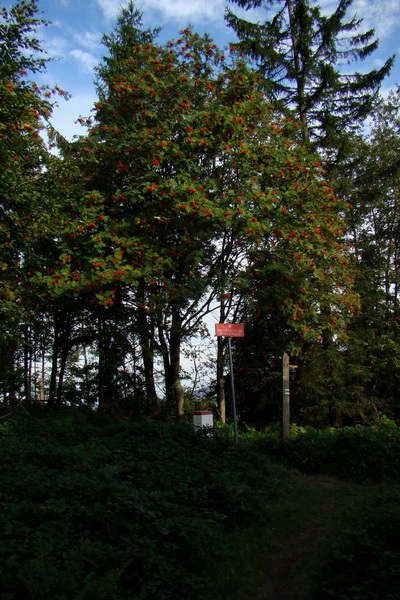 Natura 2000 Zywiecke Beskydy