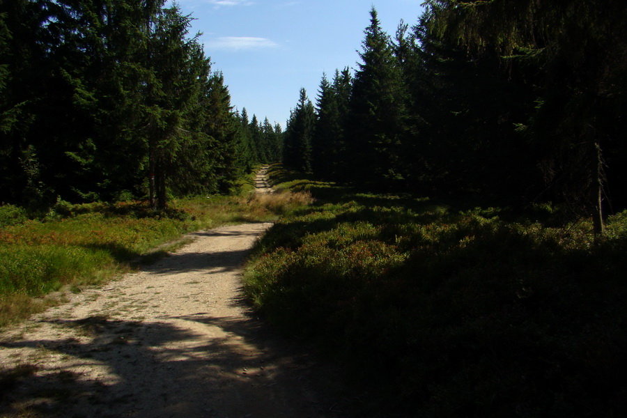 pokračujeme na Brts (Polanicu)