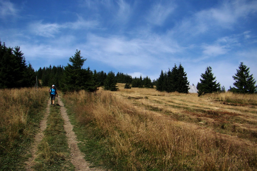 zostup do sedla pod Brtsom (Polanicou)