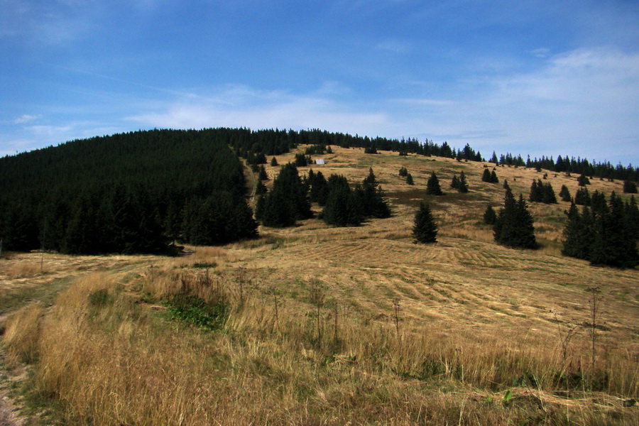 pohľad na Brts (Polanicu)