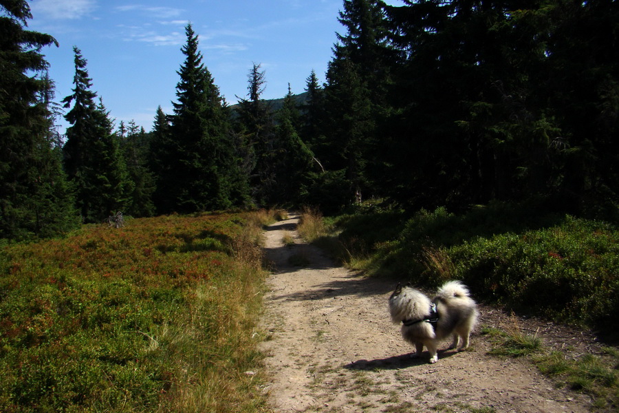 stúpanie na Munczolik