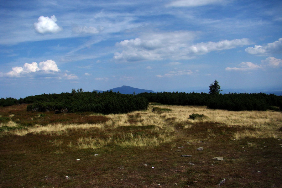 Pilsko - vrcholová plošina, v pozadí Babia hora