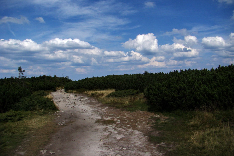 kopovitá oblačnosť nad Pilskom