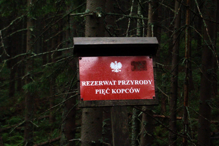 Prírodná rezervácia Pięc Kopców