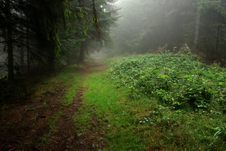 pokračujeme po modrej na Vesku