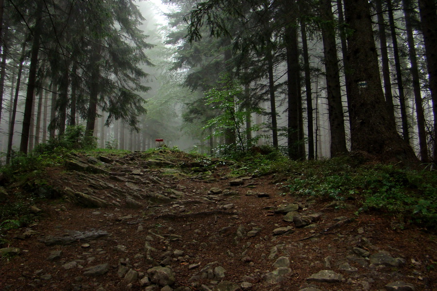 pokračujeme po modrej na Vesku