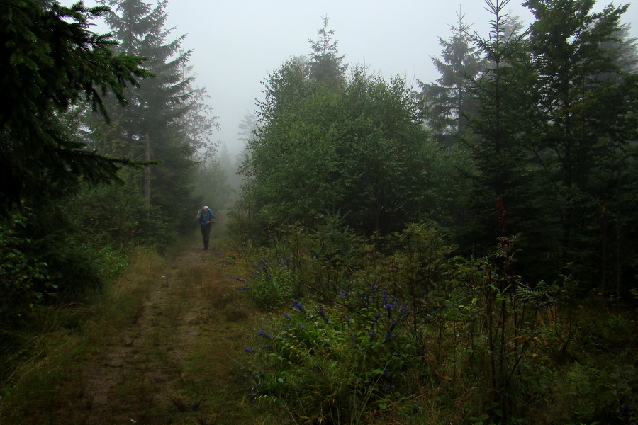 pokračujeme na Beskid Kryzowski