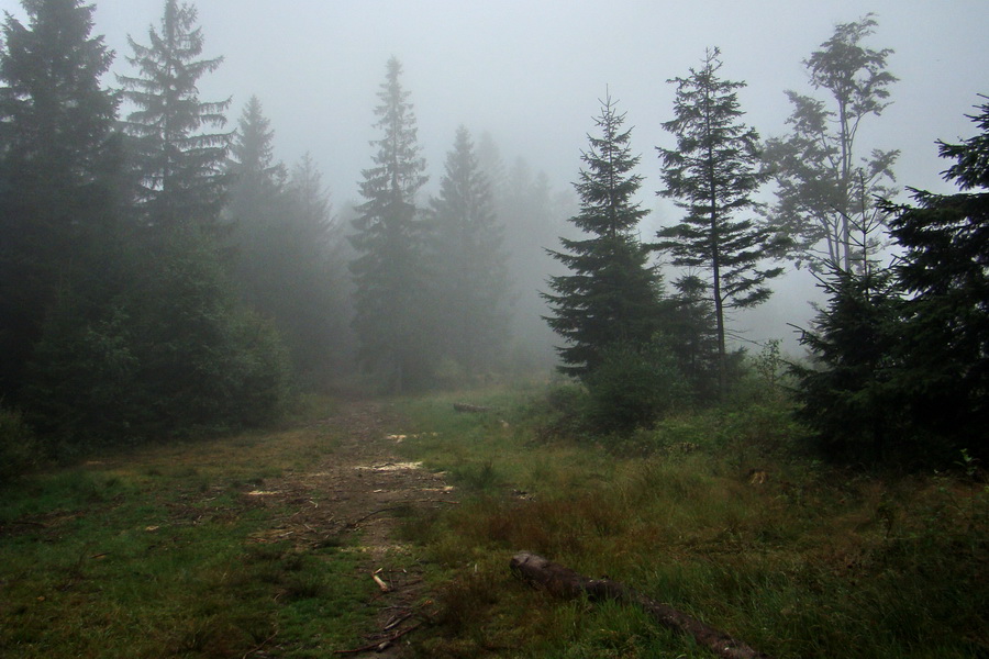 pokračujeme na Beskid Kryzowski