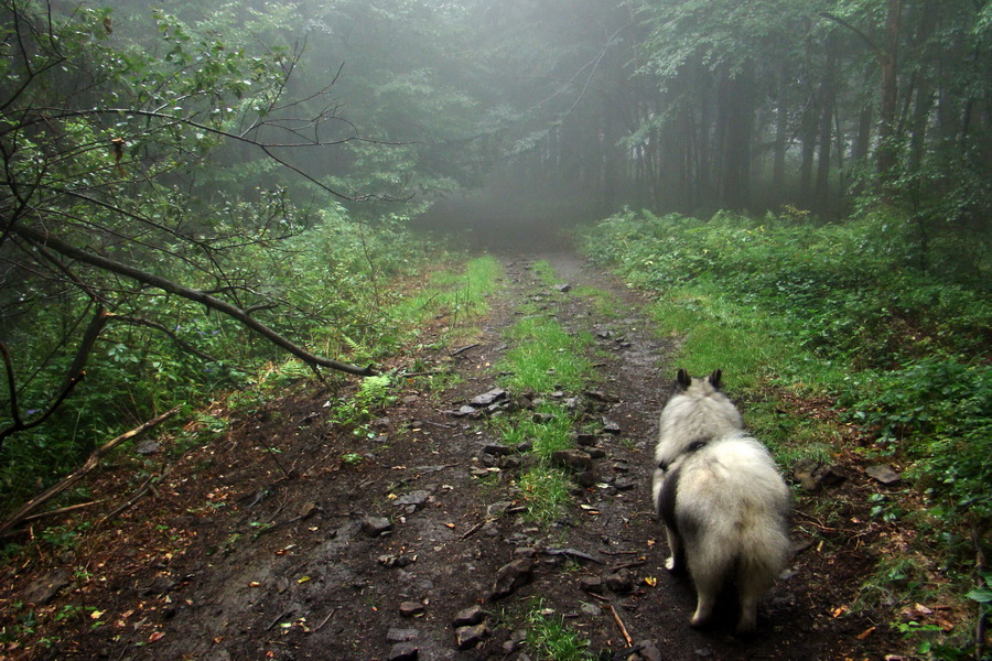 pokračujeme na Beskid Kryzowski