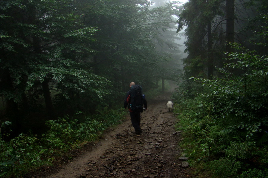 zostup z kóty Beskid Kryzowski